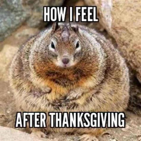 funny thanksgiving memes|humorous thanksgiving memes.